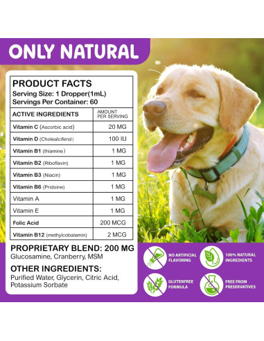 Gotas Multivitamínicas para Perros Vceeoy 15 en 1 Salud Piel Articulaciones