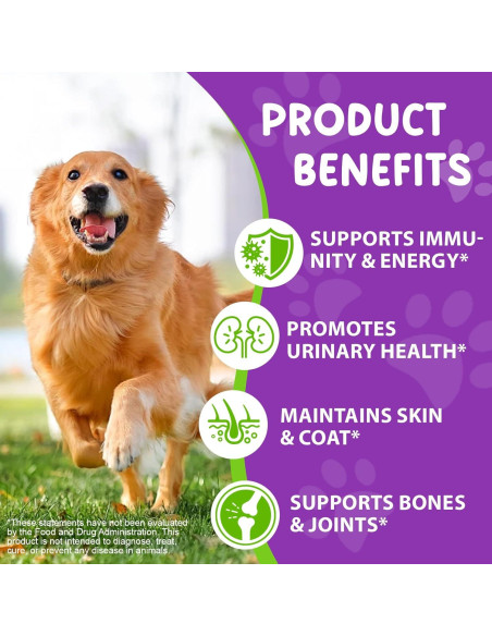 Gotas Multivitamínicas para Perros Vceeoy 15 en 1 Salud Piel Articulaciones