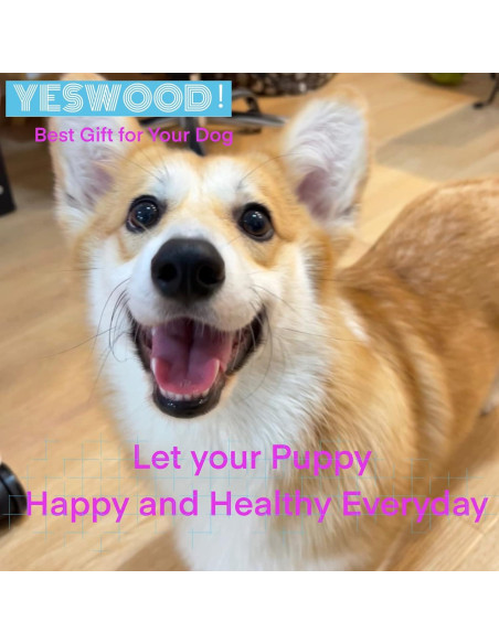 Juguetes de Peluche para Perros YESWOOD! Paquete de 3 Piernas de Pollo