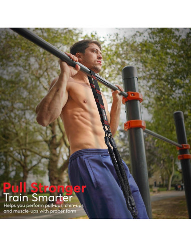 Bandas de Asistencia para Dominadas LUXOR ESSENTIALS - 4 Bandas Ajustables