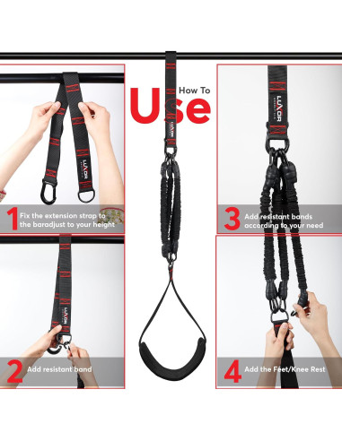 Bandas de Asistencia para Dominadas LUXOR ESSENTIALS - 4 Bandas Ajustables