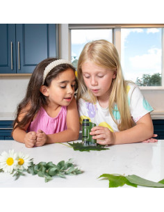 Microscopio de Bolsillo Carson MicroBrite 20-40x LED MM-24 2