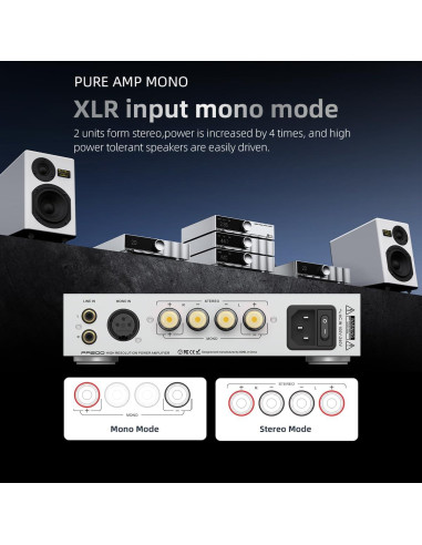 Amplificador de Potencia SMSL PA200 XLR RCA 1.87kg