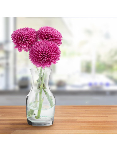 Jarras de Vino Mini Cornucopia Brands - Paquete de 6, 200ml