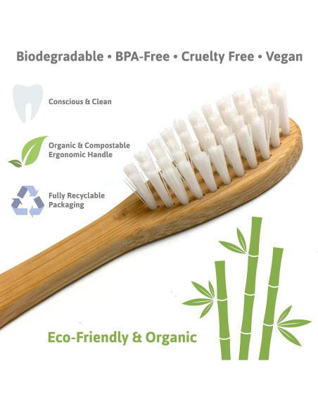 Cepillo de Dientes de Bambú Barebu - 100% Biodegradable, Blanco