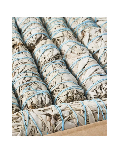 25 Palos de Salvia Blanca 10 cm Blue River Sage - Limpieza Energética