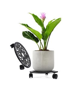 Soporte para Plantas con Ruedas 2WAYZ - Carro Rodante Negro