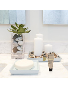 Exprimidor de Tubos de Acero Inoxidable NOLITOY 4 Pcs 2