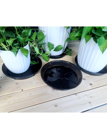 Plato para Plantas 10" NIMYAU - 6 Paquetes de Plástico