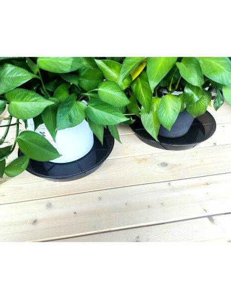 Plato para Plantas 10" NIMYAU - 6 Paquetes de Plástico