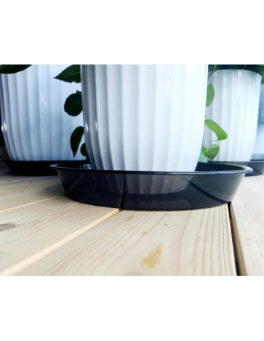 Plato para Plantas 10" NIMYAU - 6 Paquetes de Plástico