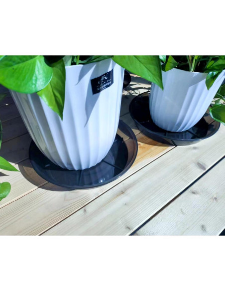 Plato para Plantas 10" NIMYAU - 6 Paquetes de Plástico