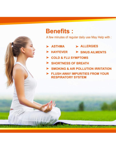 Sal Rosa del Himalaya Natural WBM 771g con Inhalador Cerámica