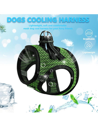 Arnés Suave para Perros Pequeños Shifenmei Verde XX-Pequeño