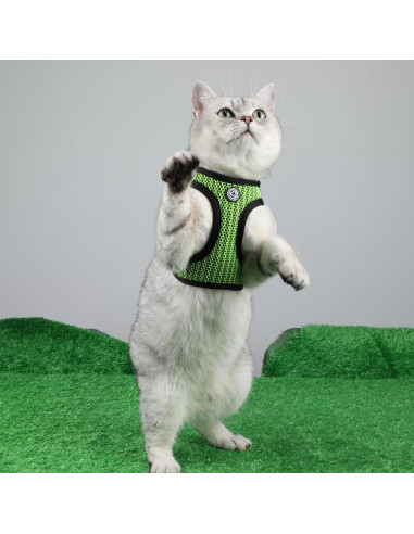 Arnés Suave para Perros Pequeños Shifenmei Verde XX-Pequeño