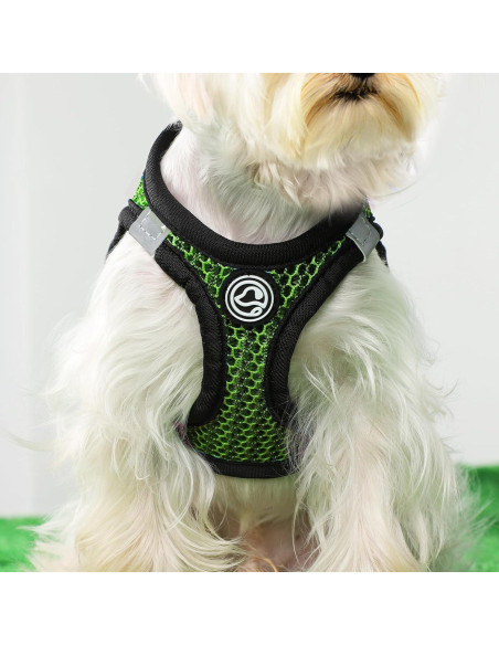 Arnés Suave para Perros Pequeños Shifenmei Verde XX-Pequeño