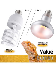 Combo Bombillas de Calor 100W y UVB 10.0 24W ReptiKing 2