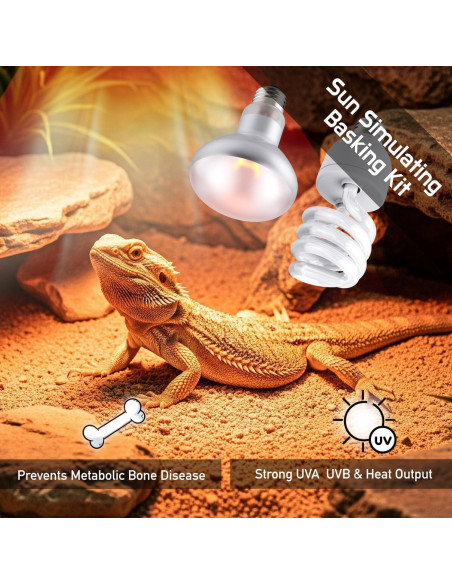 Combo Bombillas de Calor 100W y UVB 10.0 24W ReptiKing