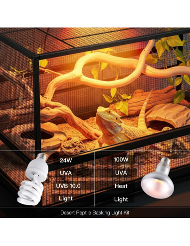 Combo Bombillas de Calor 100W y UVB 10.0 24W ReptiKing