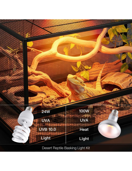 Combo Bombillas de Calor 100W y UVB 10.0 24W ReptiKing