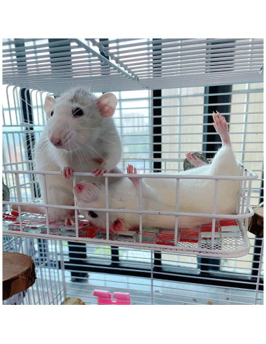 Plataforma para jaula de mascotas WOLEDOE 24.9x16cm Metal Blanco