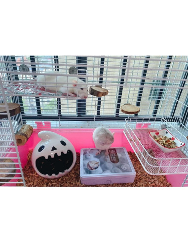 Plataforma para jaula de mascotas WOLEDOE 24.9x16cm Metal Blanco