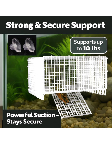 12 Piezas Accesorios Plataforma Sol Tortugas Ovimyne DIY