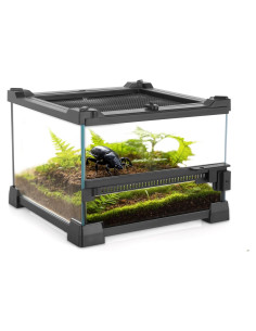 Mini Terrario de Vidrio Neptonion 20.32x20.32x15.24 cm para Reptiles
