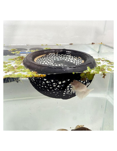 Cueva Flotante para Peces Betta HOZOE 10x10x5cm Negro