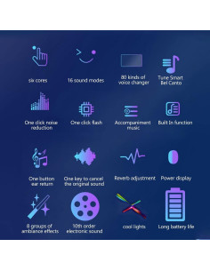 Cambiador de Voz Portátil Diyeeni con 8 Sonidos y Efectos 2