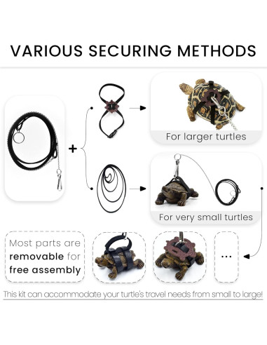 Correa Ajustable para Tortuga y Patineta Mini JJMOLLE