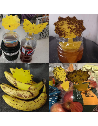 Trampas Adhesivas Amarillas WonderField para Moscas y Mosquitos - Paquete de 48