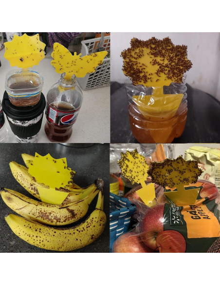 Trampas Adhesivas Amarillas WonderField para Moscas y Mosquitos - Paquete de 48