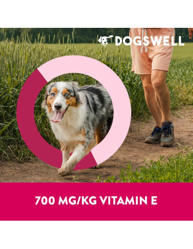 Golosinas para Perros Dogswell Inmunidad Pato 567 g