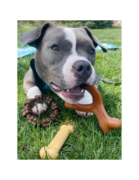 Paquete de 3 Juguetes para Perros Nylabone Power Chew