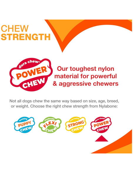 Paquete de 3 Juguetes para Perros Nylabone Power Chew