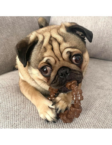 Paquete de 3 Juguetes para Perros Nylabone Power Chew