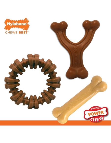 Paquete de 3 Juguetes para Perros Nylabone Power Chew