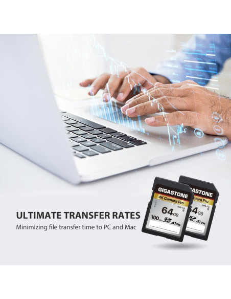 Tarjeta SD Gigastone 64GB 2-Pack A1 V30 4K Ultra HD
