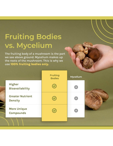 Tintura Líquida de Hongo Chaga Naturealm 50 ml - Vegano, Inmunidad