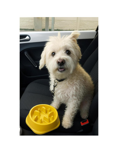 Cuenco Antiahogo YRPETS para Perros y Gatos Amarillo 19.5cm
