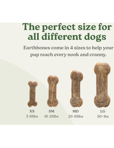 Masticables Dentales Earthbones para Perros Pequeños 30 Unidades