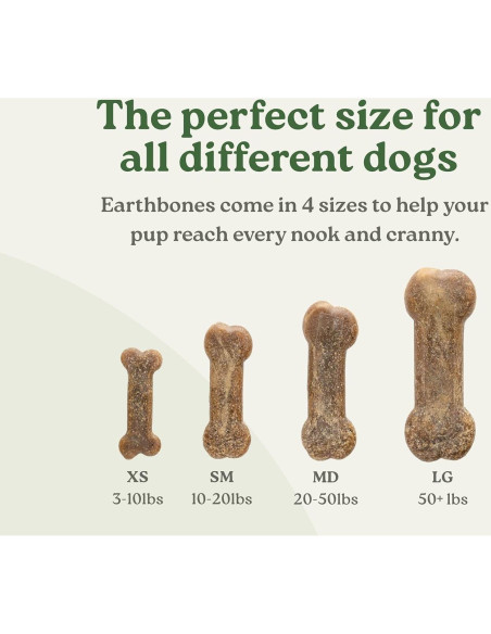 Masticables Dentales Earthbones para Perros Pequeños 30 Unidades