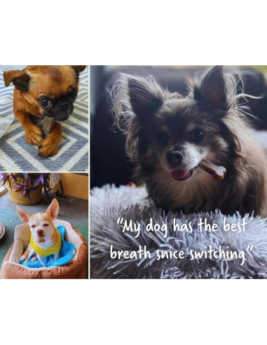 Masticables Dentales Earthbones para Perros Pequeños 30 Unidades