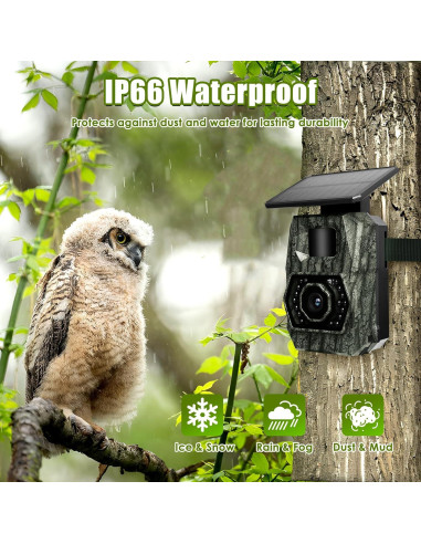 Cámara de sendero solar MAXDONE PH970S 48MP WiFi IP66