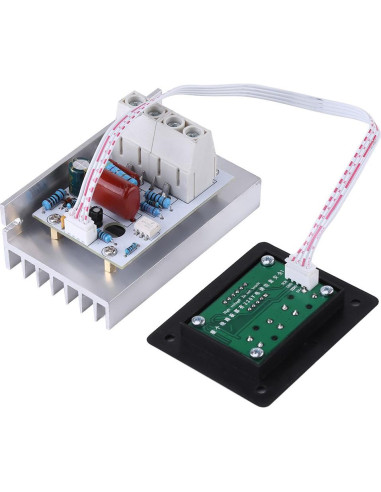 Controlador de Velocidad Digital YWBL-WH 10000W 220V 80A