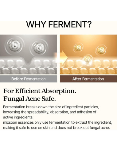 Esencia de Frijol Mixsoon 20ml - Exfoliante e Hidratante K-Beauty