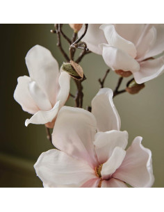 Jabón de Manos Thymes Sauce Magnolia 266 ml - Hidratante y Aromatizado 2