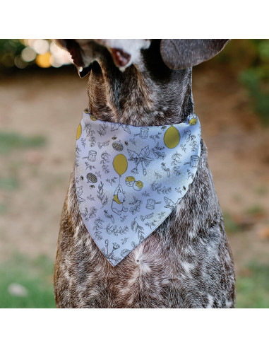 Bandana para Mascotas Disney Winnie The Pooh 19x25cm
