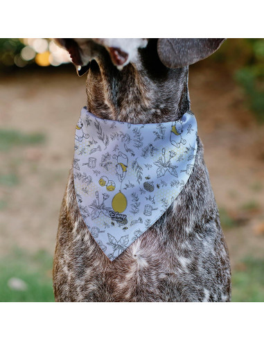 Bandana para Mascotas Disney Winnie The Pooh 19x25cm